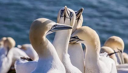 完美体育品牌-徐远征更新社媒分享训练动态： 又一天上午的进步